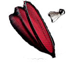 String Care Badminton