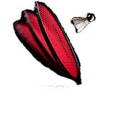 String Care Badminton